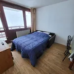 Pied Des Pistes - - Tourmalet Apartment *
